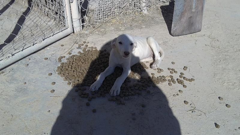 UMARA en Famille d'accueil