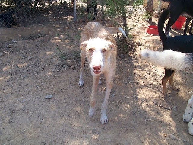 ARMANI en accueil (57)