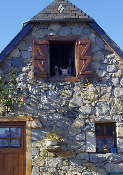 Eh dis! Qu'est ce tu fais en bas? On t'attend maman! (VIOLETTE)