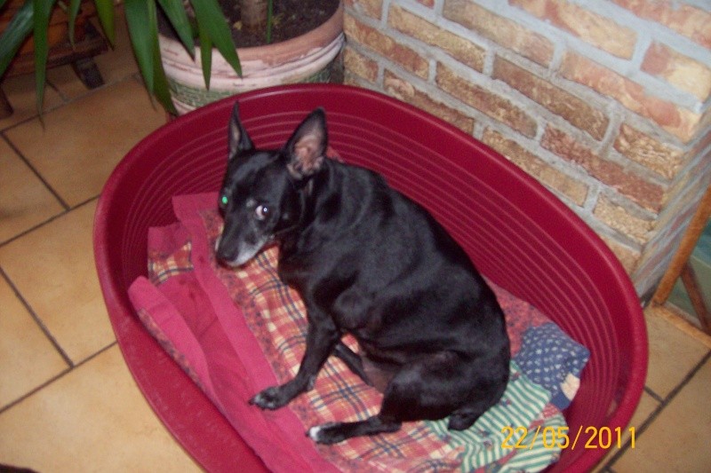 Merci de m'avoir lue ! Je vais me coucher maintenant!