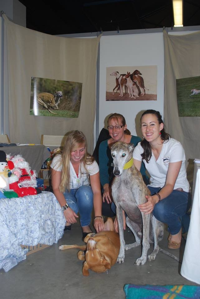 Photo de l'association de sauvegarde des dogues allemands "dogueallemandnotre "