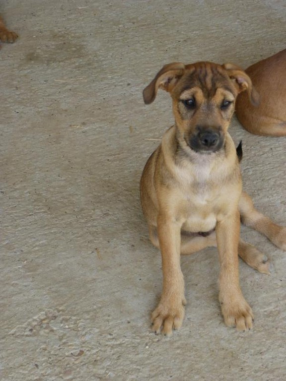 PALACIOS en accueil (37)