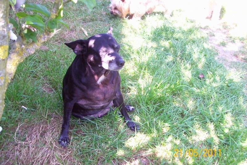 Je prends le soleil! Je suis sereine maintenant!