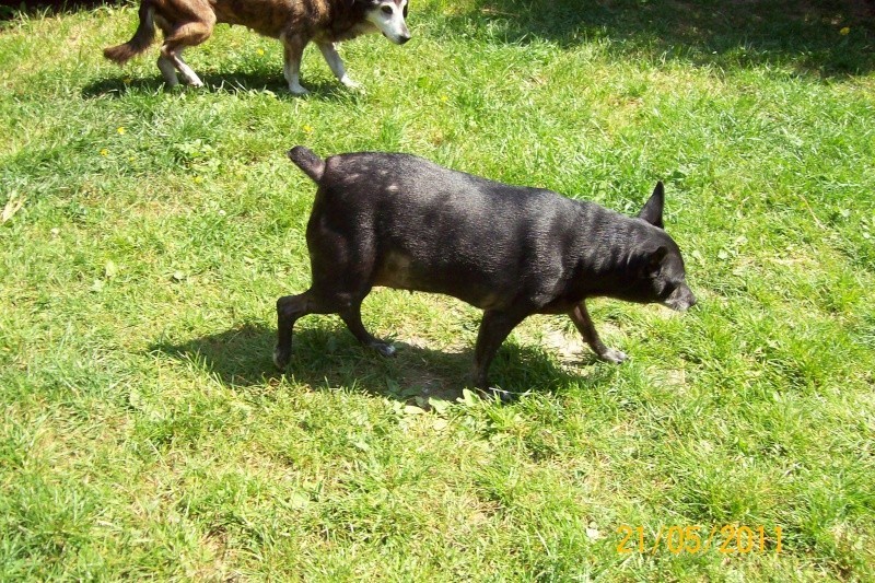 Bon ok j ai repris mes kilos mais on est bien dans le jardin!