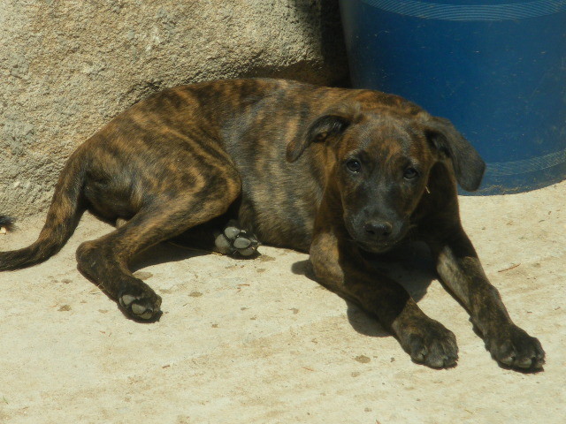 AYUA en Famille d'accueil