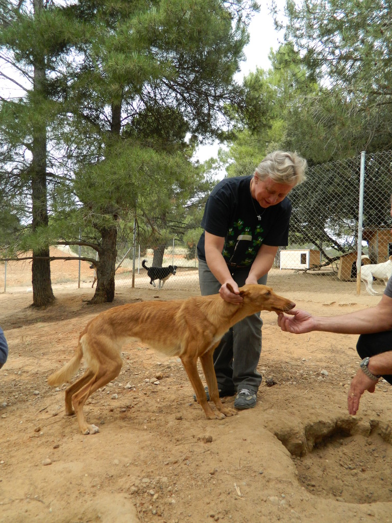 J'adore me faire des copains ...