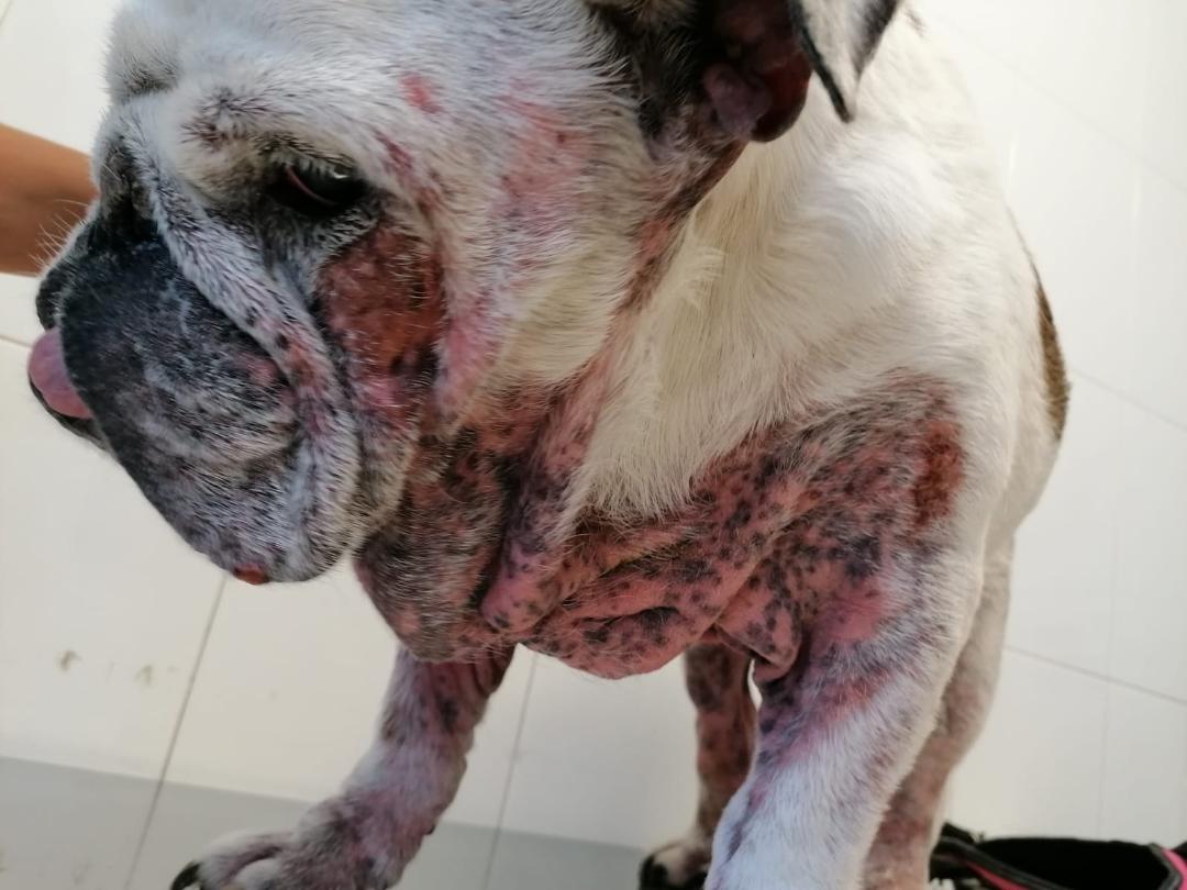 Chérie à son arrivée