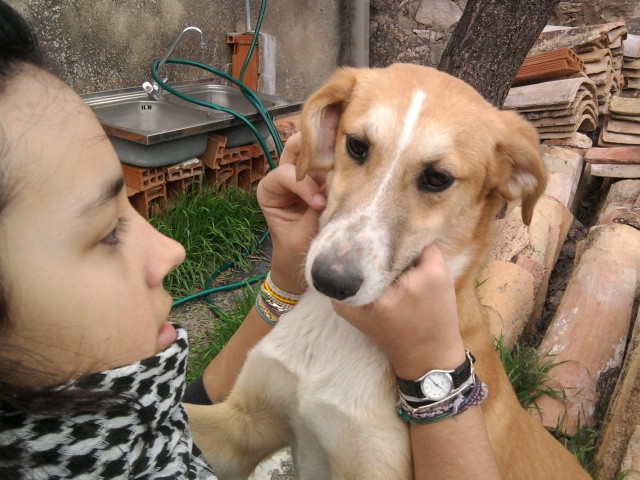 Avec ma sauveuse! Merci à elle de m'avoir sorti de la rue!