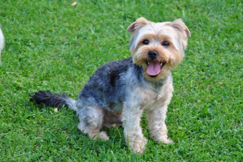 DOLCHE en accueil (83)