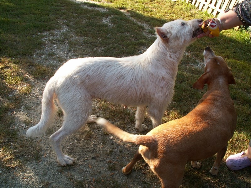 Gwendal en visite à Mazarin - Septembre 2014