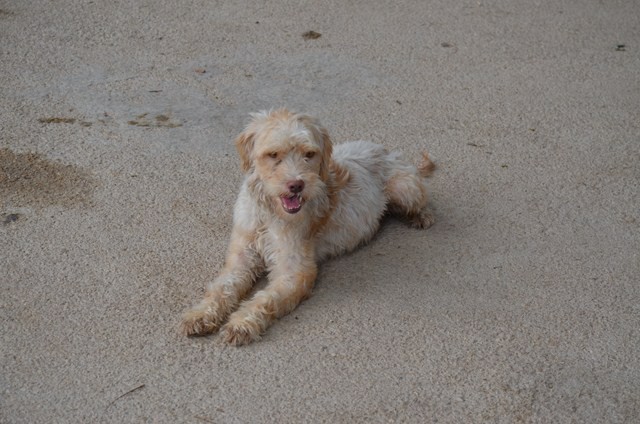 RICITOS en accueil (41)