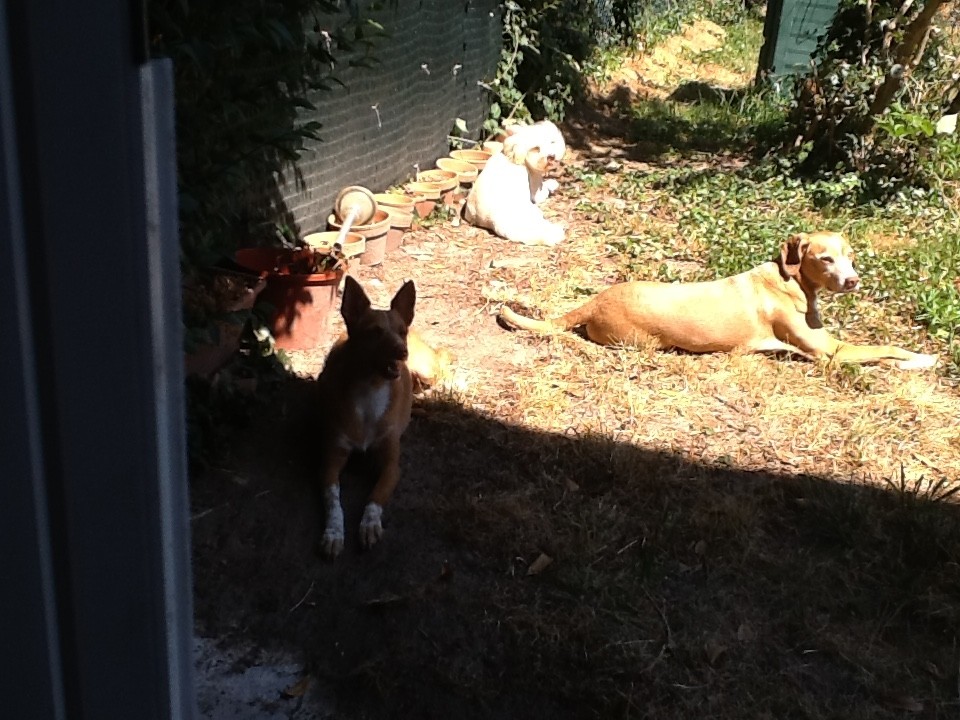 Ricou, Dayko et Brigitte