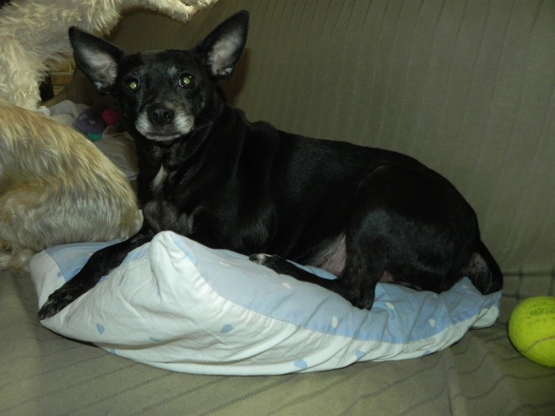 Après l'opération!