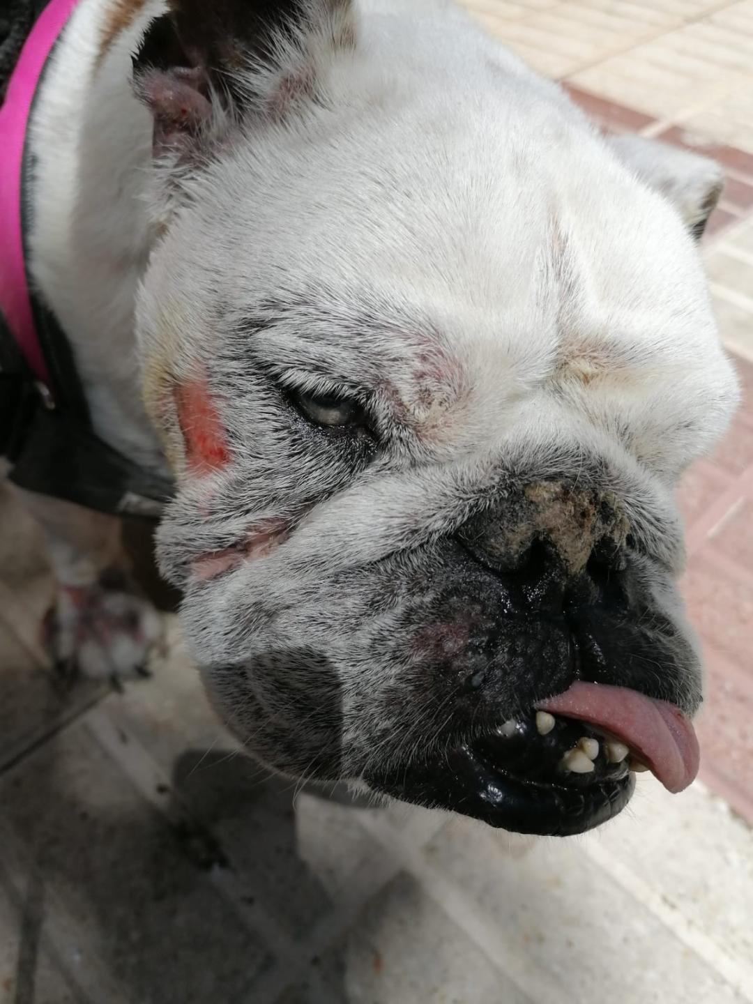 Chérie très abattue