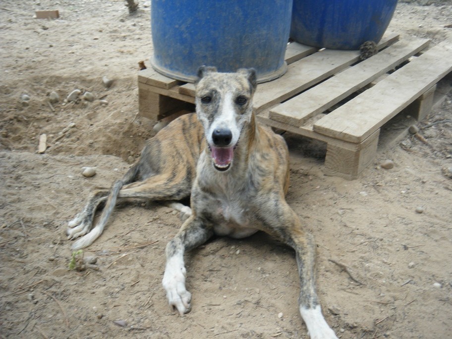 SOLITA en accueil (31)