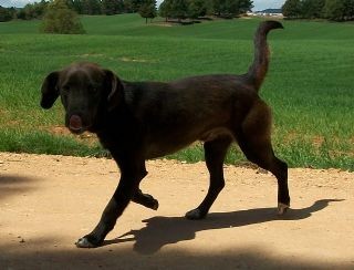 ASIER en accueil (68)