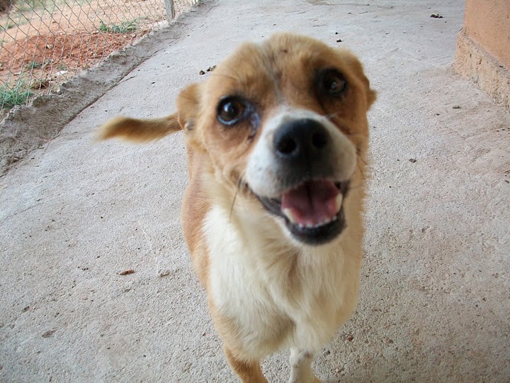 MAGDALENA en Famille d'accueil