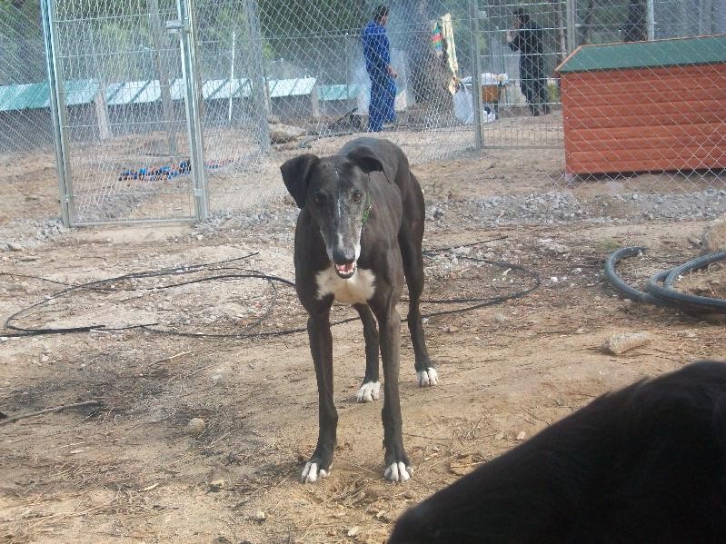 BOSCO en Famille d'accueil