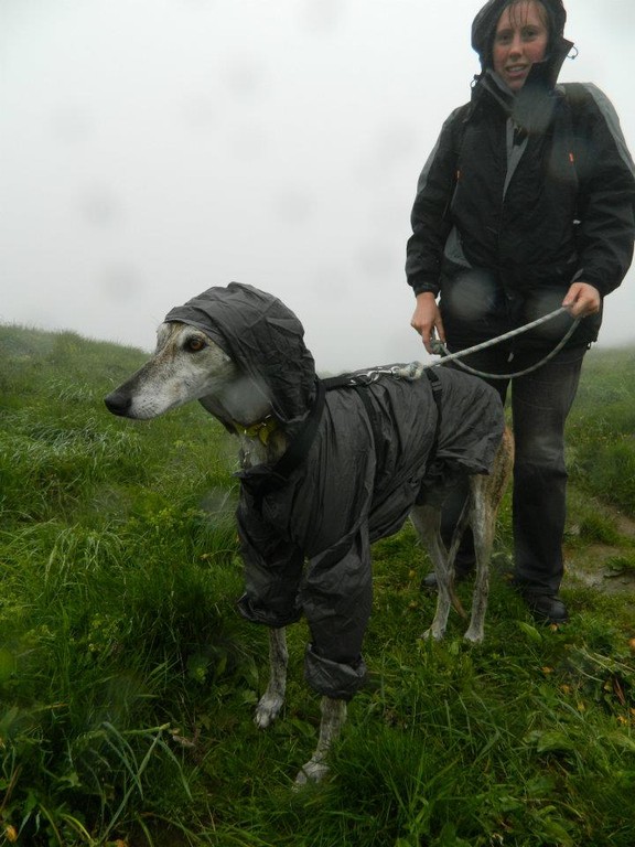 J'aime pas la pluie.... et mes adoptants l'ont bien compris!!! CHARCO