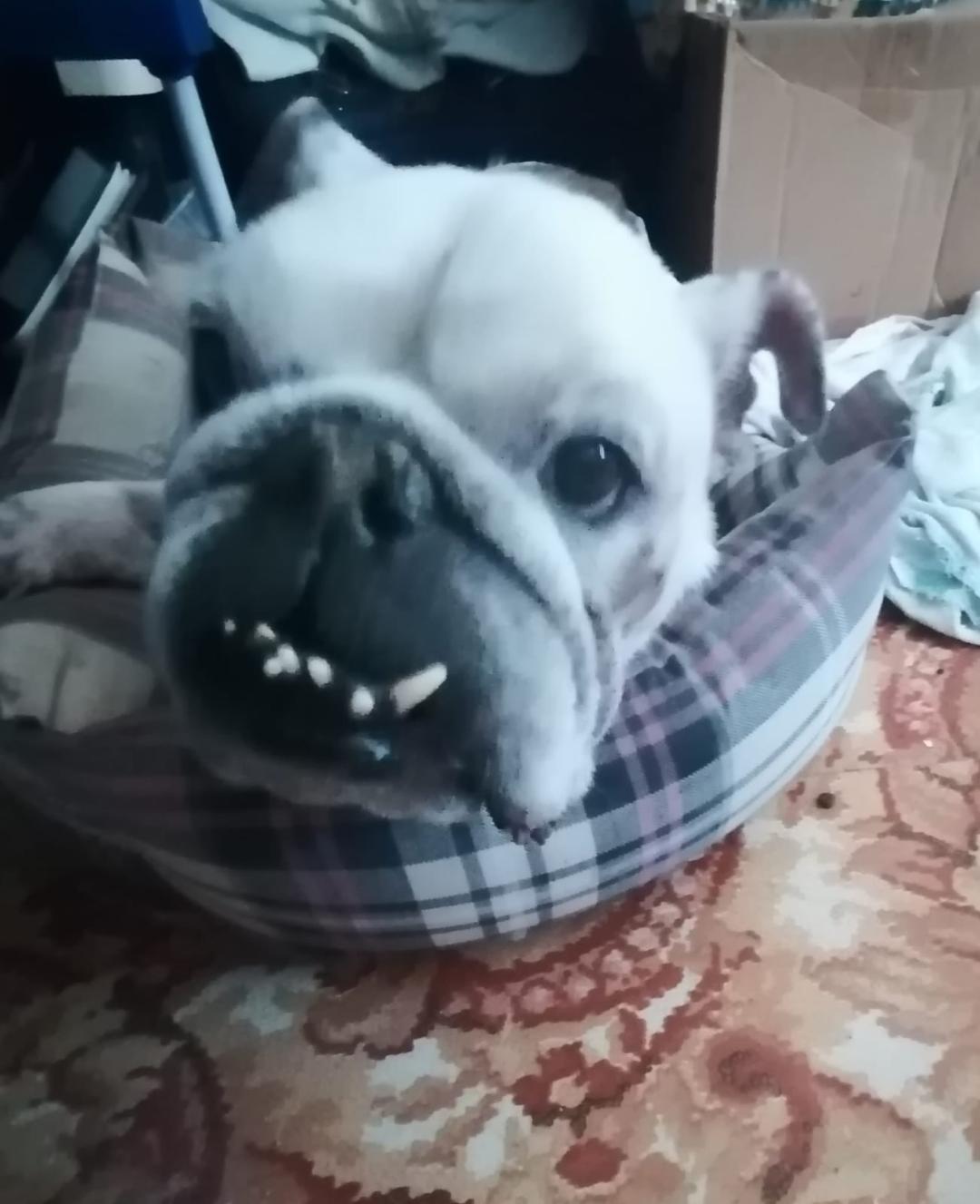 La vitalité retrouvée !