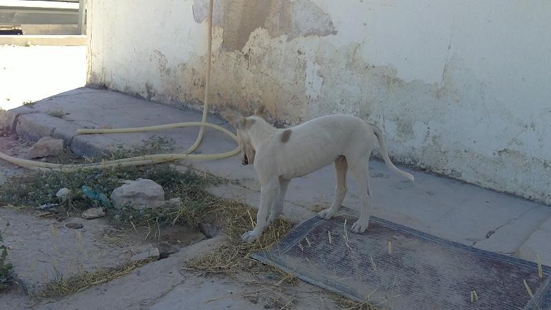 MUTI en Famille d'accueil