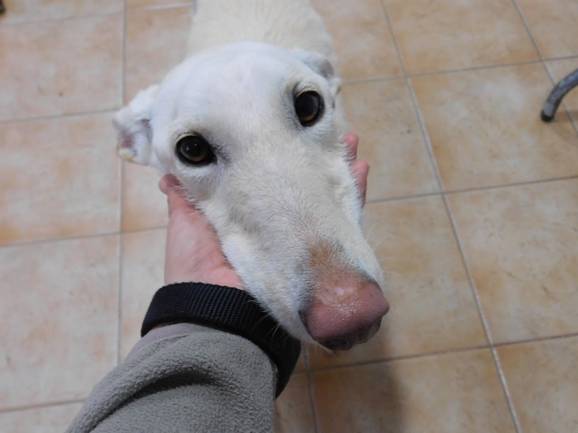 YAURA (en famille d'accueil)