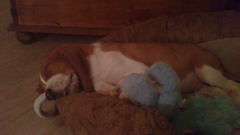 Après l'effort le réconfort