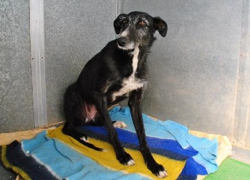 VALERIA en Famille d'accueil