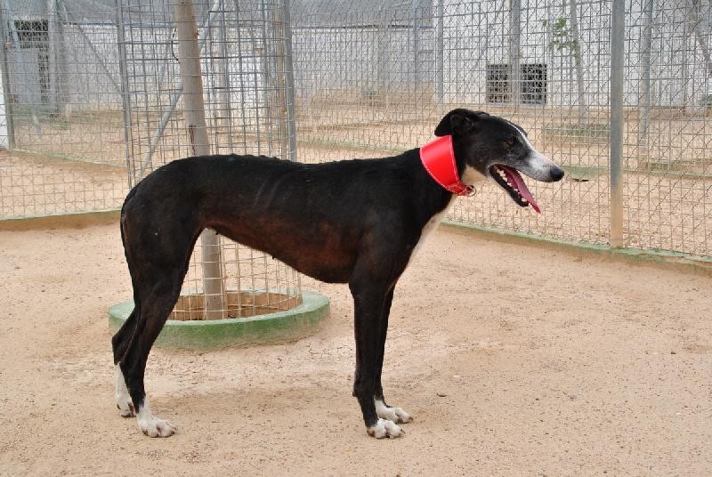 CRISTELLE en accueil (10)