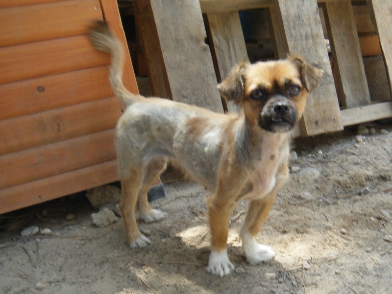 CRIS en accueil (81)