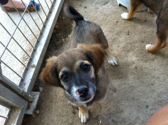 MENTA en accueil (37)