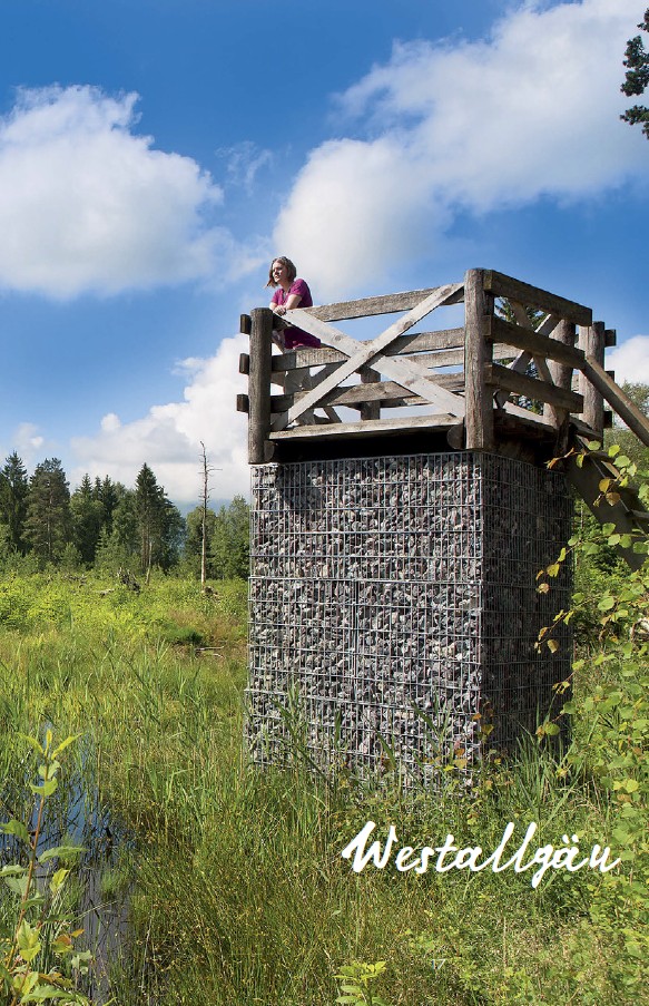 Leichte Wanderungen im Allgäu | Aufmacherseite für Gebiet