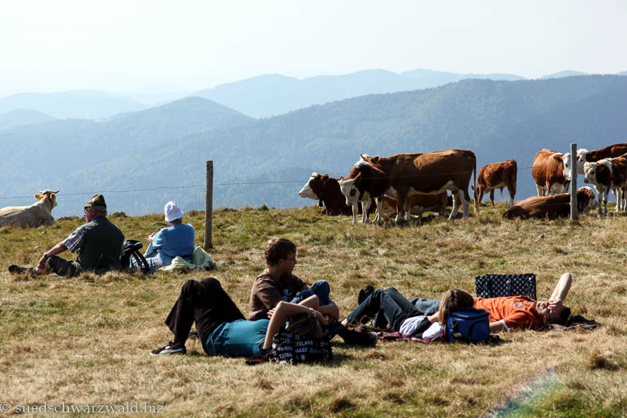 Wanderungen für Langschläfer im Schwarzwald - Wanderführer