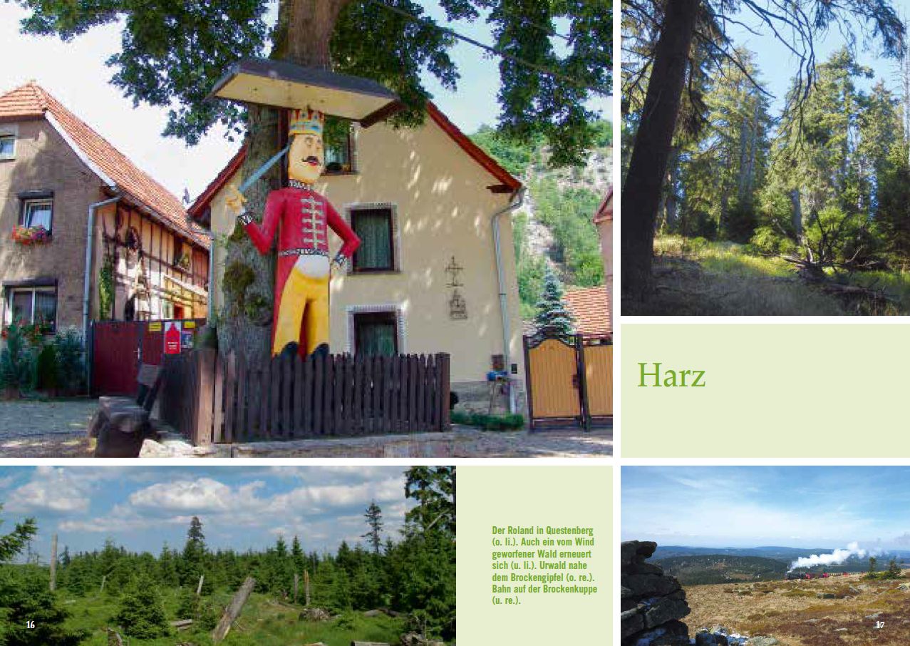 Aufmacherseite Harz