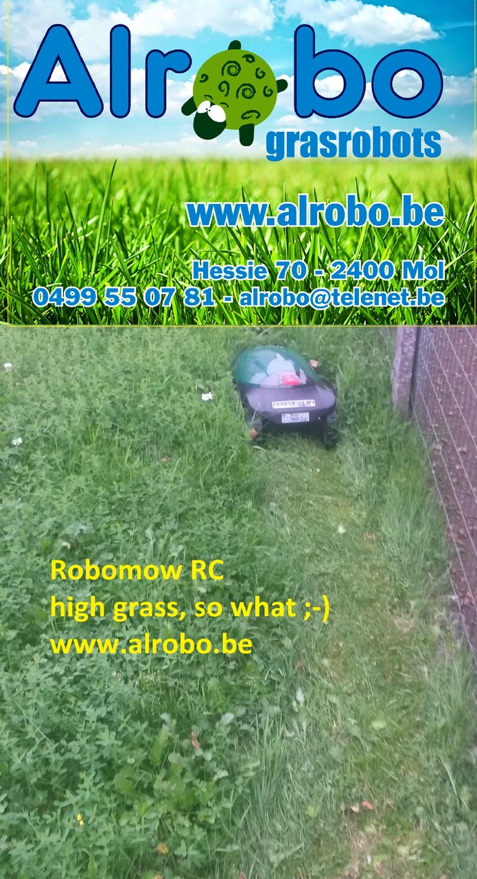 Alrobo RC304 in hoog gras 