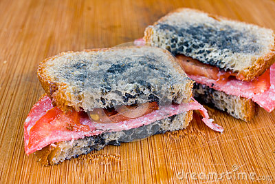 Tranches de pain de mie moisies.