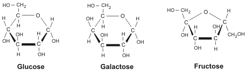 Quelques exemples de glucides simples (monosaccharides). Le glucose entre dans la composition de nombreuses aux molécules complexes comme la cellulose (un des constituant du bois voir ci-dessous). Source : wikipédia.