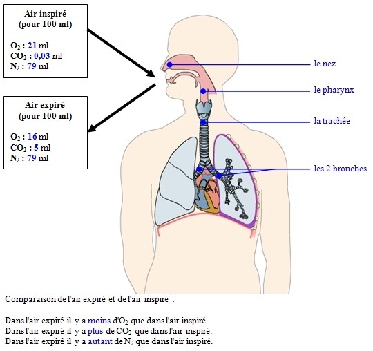 Chapitre 7 l'élimination des déchets Site de cours de collège et lycée en SVT
