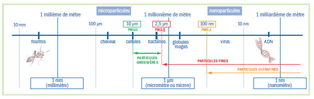 Classement de la taille des polluants atmosphériques. Source: http://www.airparif.asso.fr/pollution/differents-polluants