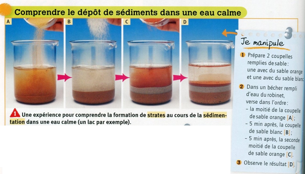Chapitre 9 la formation des roches sédimentaires  Site de cours de