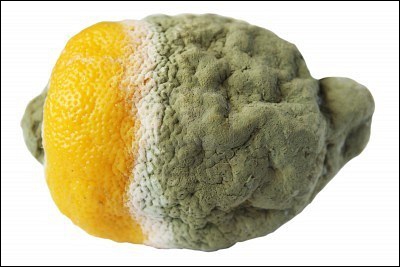 Citron à moitié moisi.
