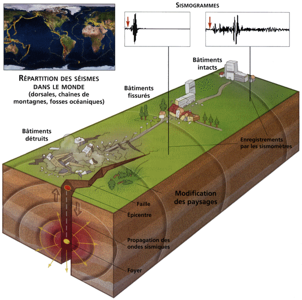 Les seismes Site de cours de collège et lycée en SVT