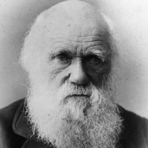 Charles Darwin a etudié l'évolution des espèces et a écrit "L'origine des espèces". Source: wikipédia.