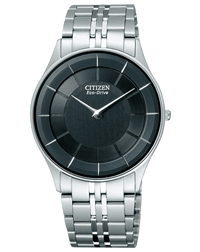 This is png image of citizencollection ar3010-65e