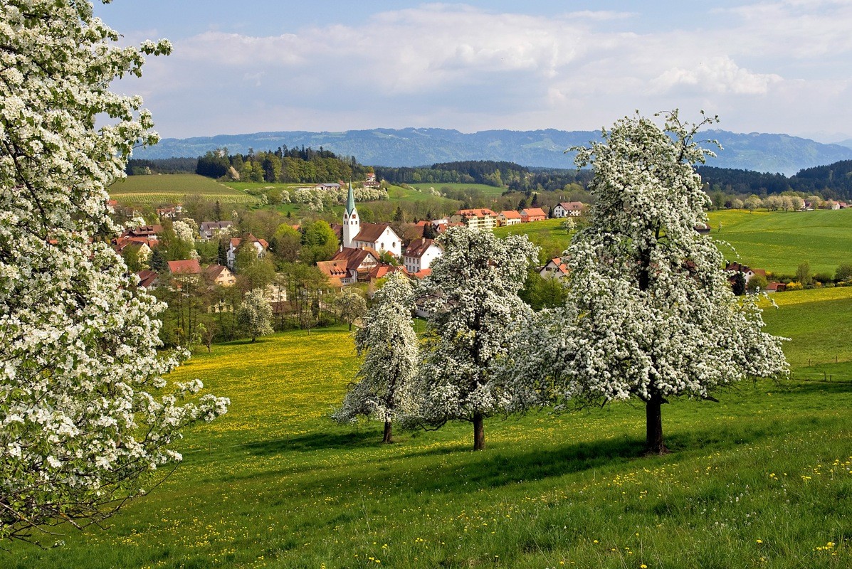 Blick auf Oberreitnau, Foto: ©Wolfgang Schneider