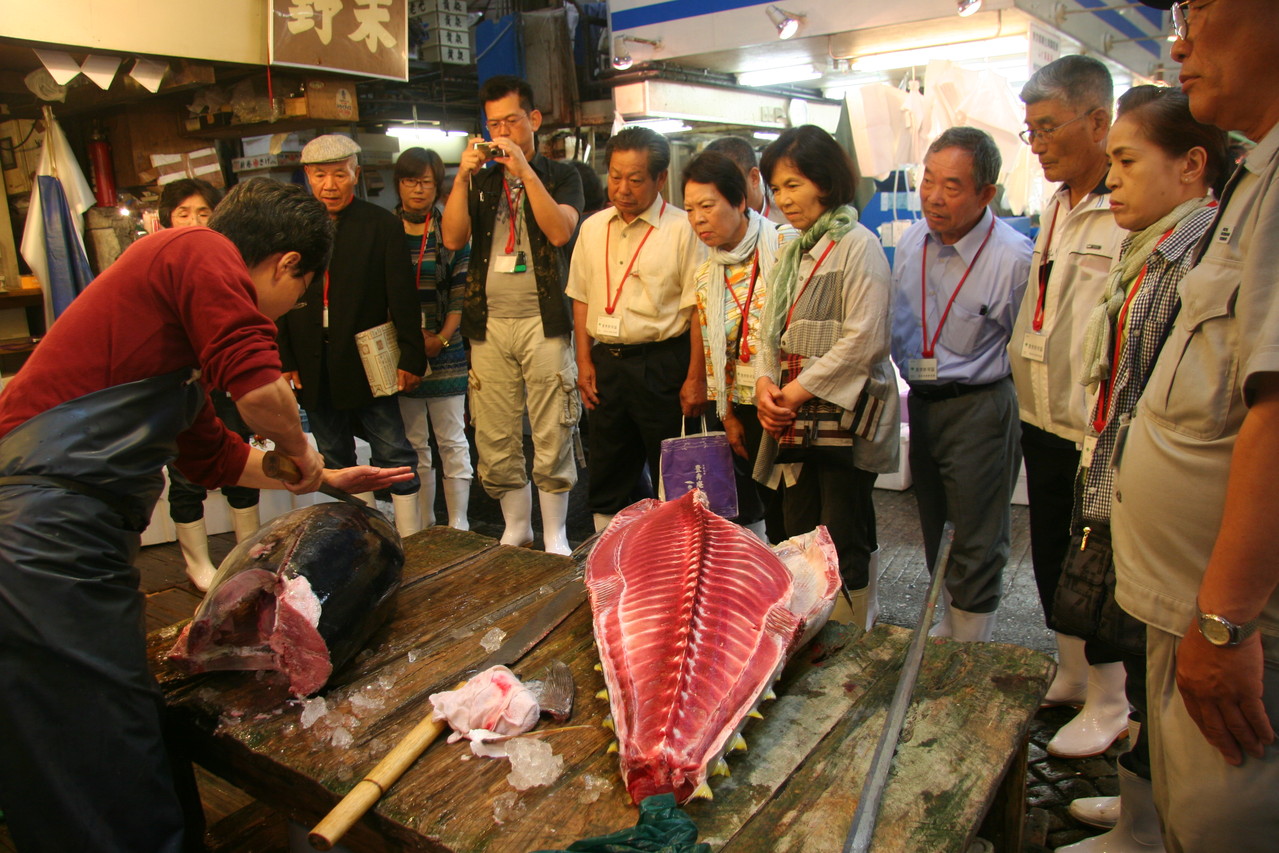 No.01345 包丁 マグロ包丁 先丸型 鏡面浮波 刃文綺麗 墨流