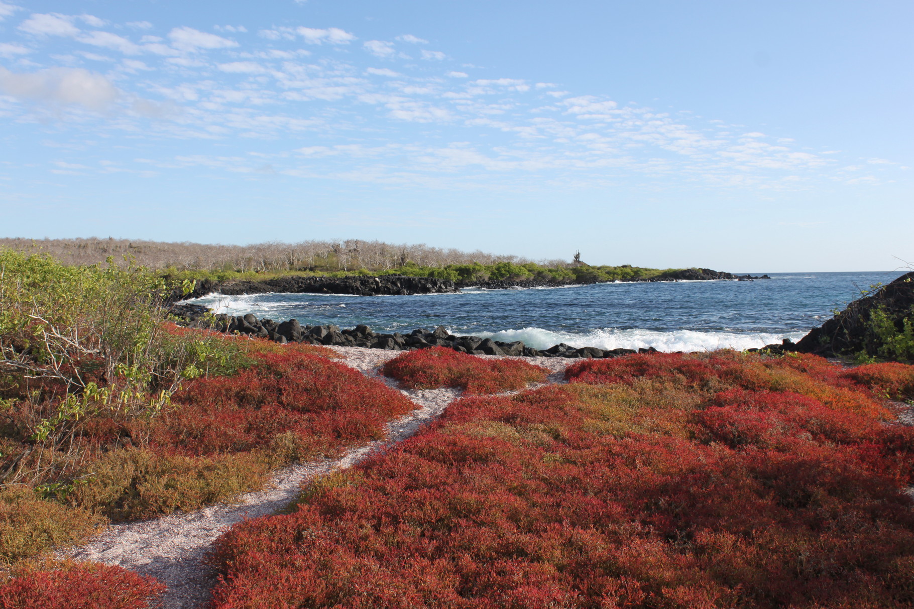 beste Zeit zum Reisen Galapagos