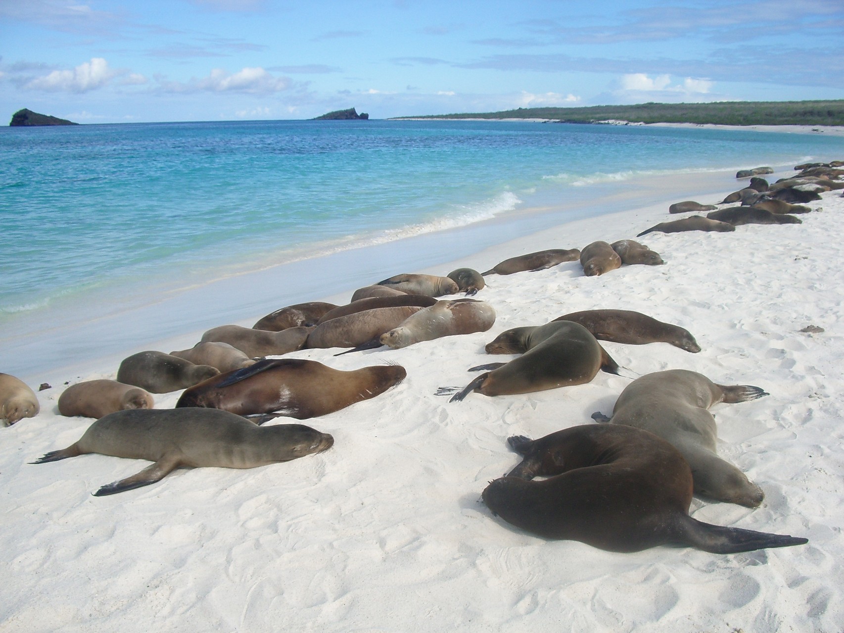 Erfahrungsbericht Galapagos von Reise-Profis
