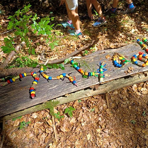 Waldpädagogik Aalen / Oberkochen Kindergeburtstage