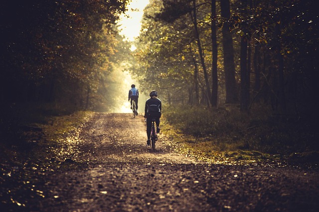 MTB Radweg P5 Arbing - Münzbach - Klam - Baumgartenberg